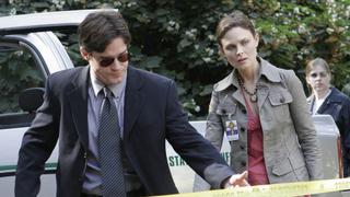 The Girl in the Gator