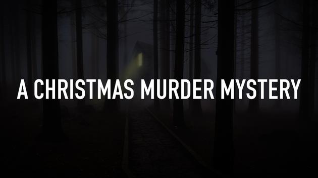 A Christmas Murder Mystery