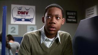 Everybody Hates the Car