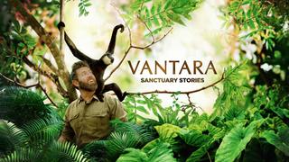 Vantara: Sanctuary Stories