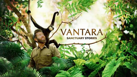 Vantara: Sanctuary Stories