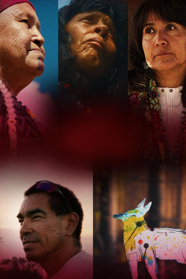 Future of Film: Indigenous Voices