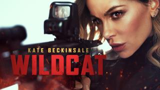 watch Wildcat