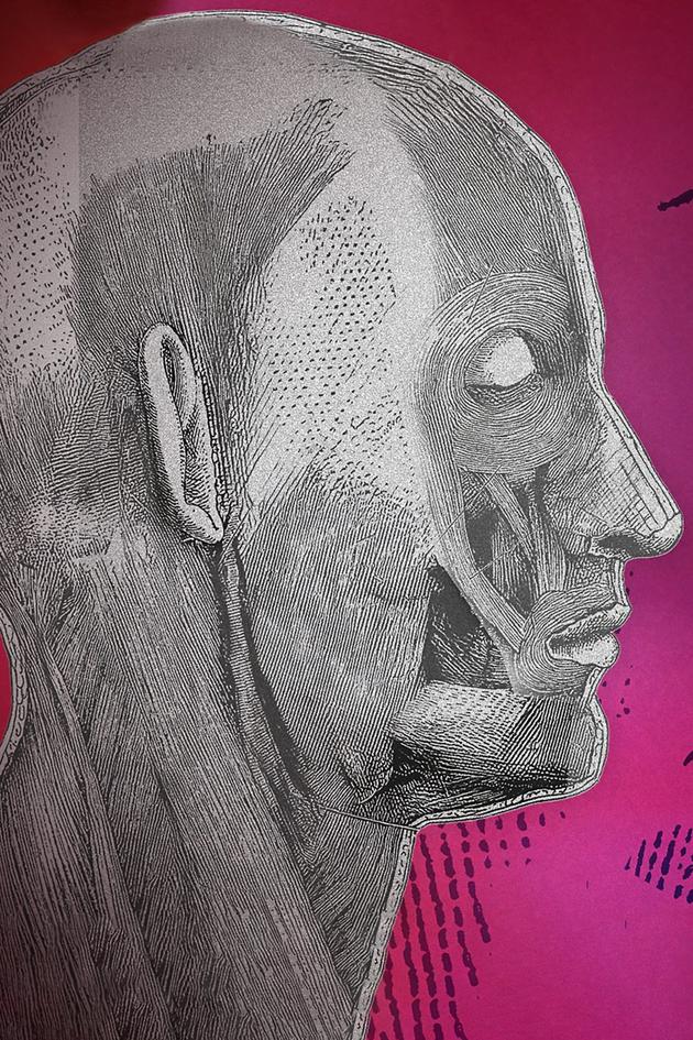 Inside The World Of Body Donors