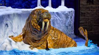 North Pole Animals North Pole Animals