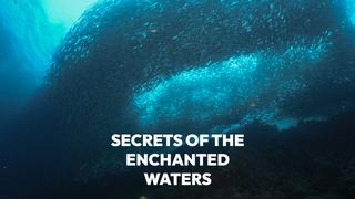  watch Secrets of the Enchanted Waters