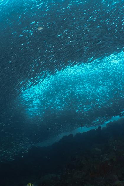 Secrets of the Enchanted Waters