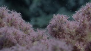 Oceans Oceans