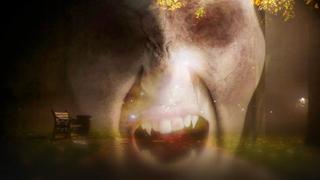 Paranormal Caught on Camera