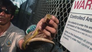 The UnBelievable With Dan Aykroyd