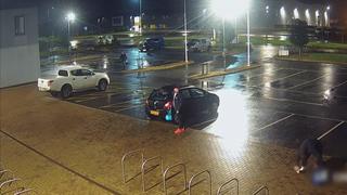 Sterling and Lolo Wood CCCXXXVII Sterling and Lolo Wood CCCXXXVII