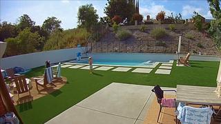 Sterling and Lolo Wood CCCXLI Sterling and Lolo Wood CCCXLI