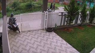 Sterling and Lolo Wood CCCXLV