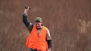 Sterling and Lolo Wood CCXCII