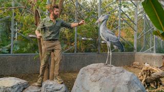 From Rescue to Sanctuary
