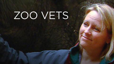 Zoo Vets