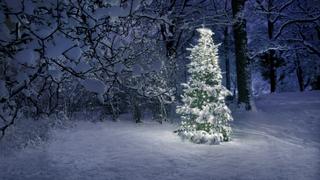 FailArmy 25 Fails of Xmas