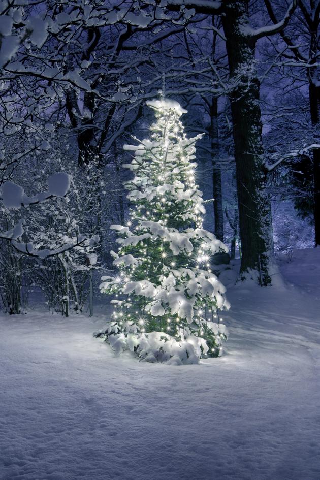 FailArmy 25 Fails of Xmas