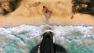 Killer Whale