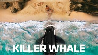  watch Killer Whale