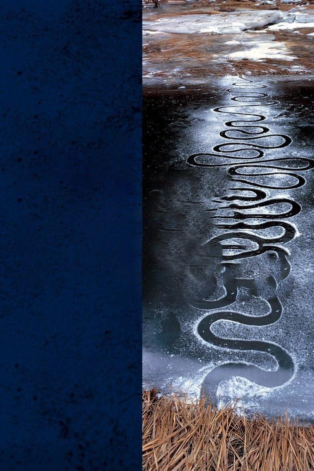 Rivers and Tides: Andy Goldsworthy With Time