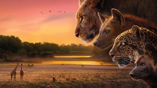 Planet Earth: Kingdom