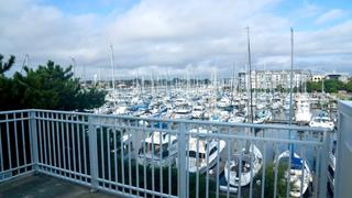 Punchlines in Paradise Punchlines in Paradise