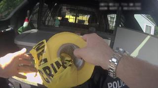Crime in Progress