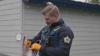 Alaska State Troopers