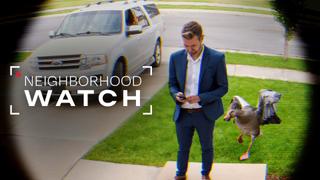  watch Neighborhood Watch