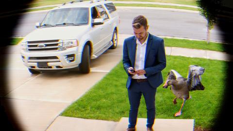 Better Luck Next Time