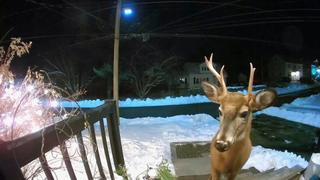 You Talkin' to Me? You Talkin' to Me?