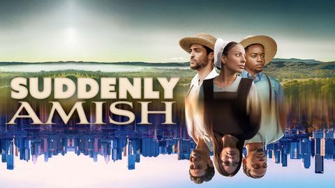 Suddenly Amish