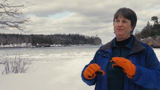 America's Forests in Minnesota