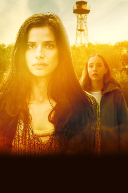 The Night She Disappeared