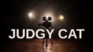 Judgy Cat