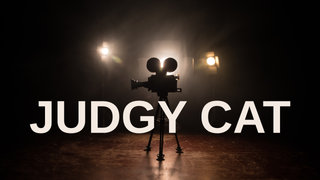 Judgy Cat