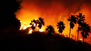 Inside the Inferno Inside the Inferno