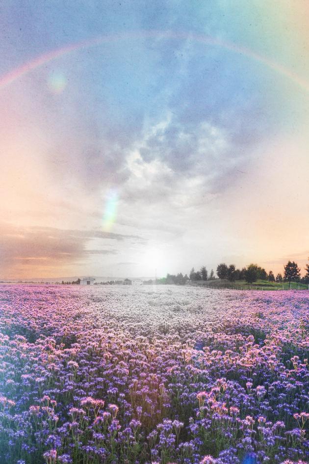 More Than Meets the Eye: The Joan Brock Story