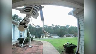 Well, That Was Scary!