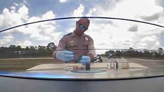 Insane Police Chases