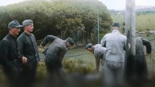 Hitler's British Island