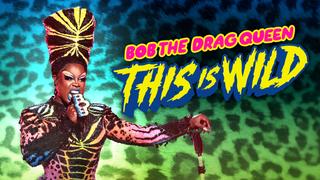 Bob the Drag Queen: This Is Wild