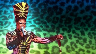 Bob the Drag Queen: This Is Wild