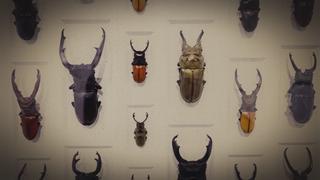 Mysteries Unearthed With Danny Trejo