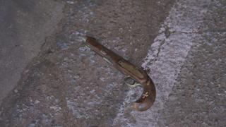 Weapons Found Weapons Found