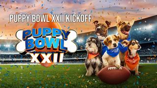 watch Puppy Bowl XXII Kickoff