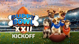 watch Puppy Bowl XXII Kickoff