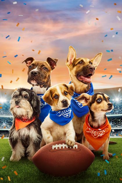 Puppy Bowl XXII Kickoff
