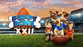  watch Puppy Bowl XXII